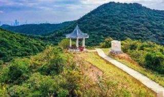 深圳哪个公园风景最好 深圳塘朗山郊野公园